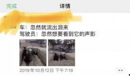 平湖最新爆料消息视频播放,视频揭秘惊人内幕，真相即将揭晓！